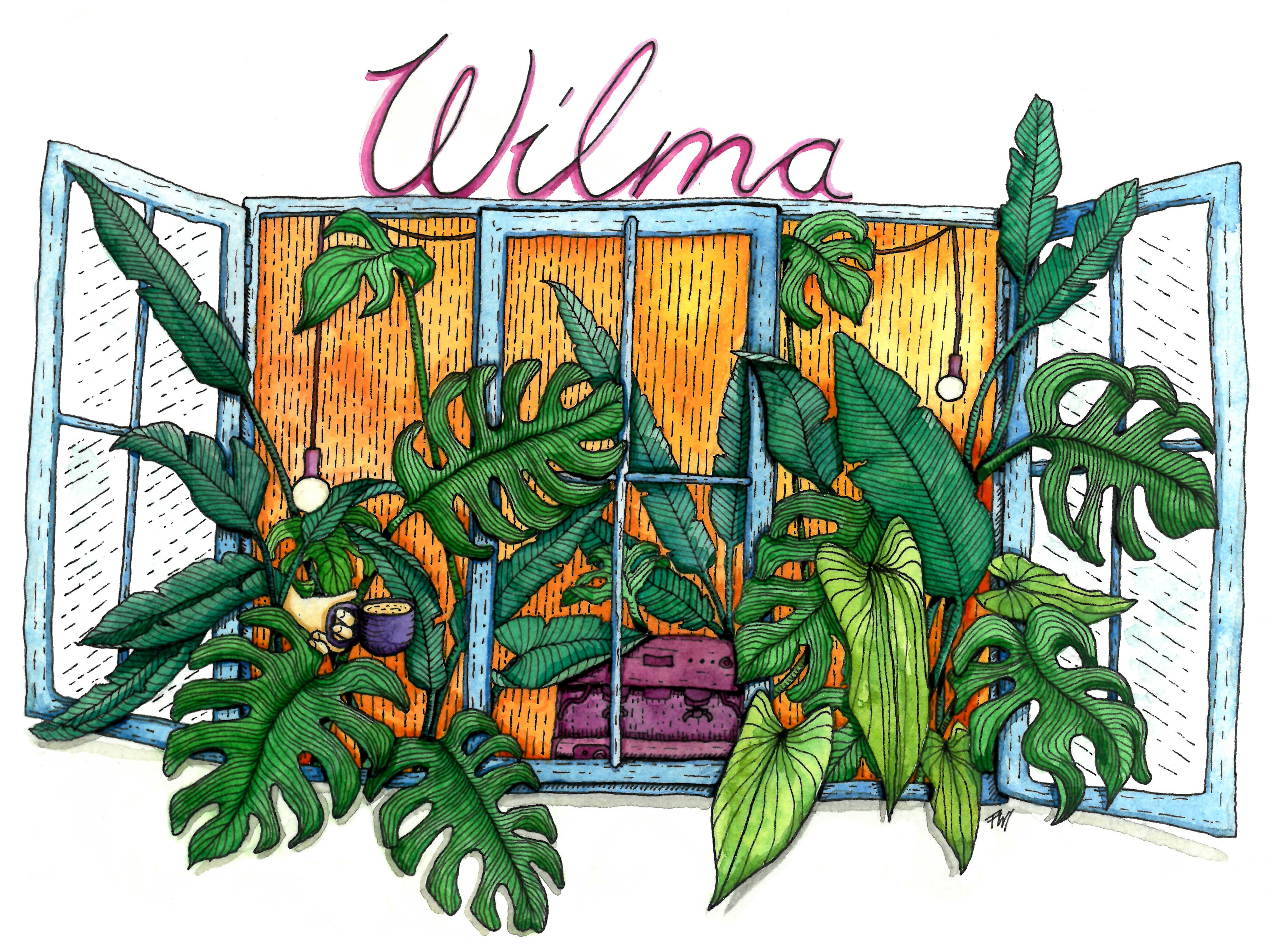 Illustration Cafe Wilma