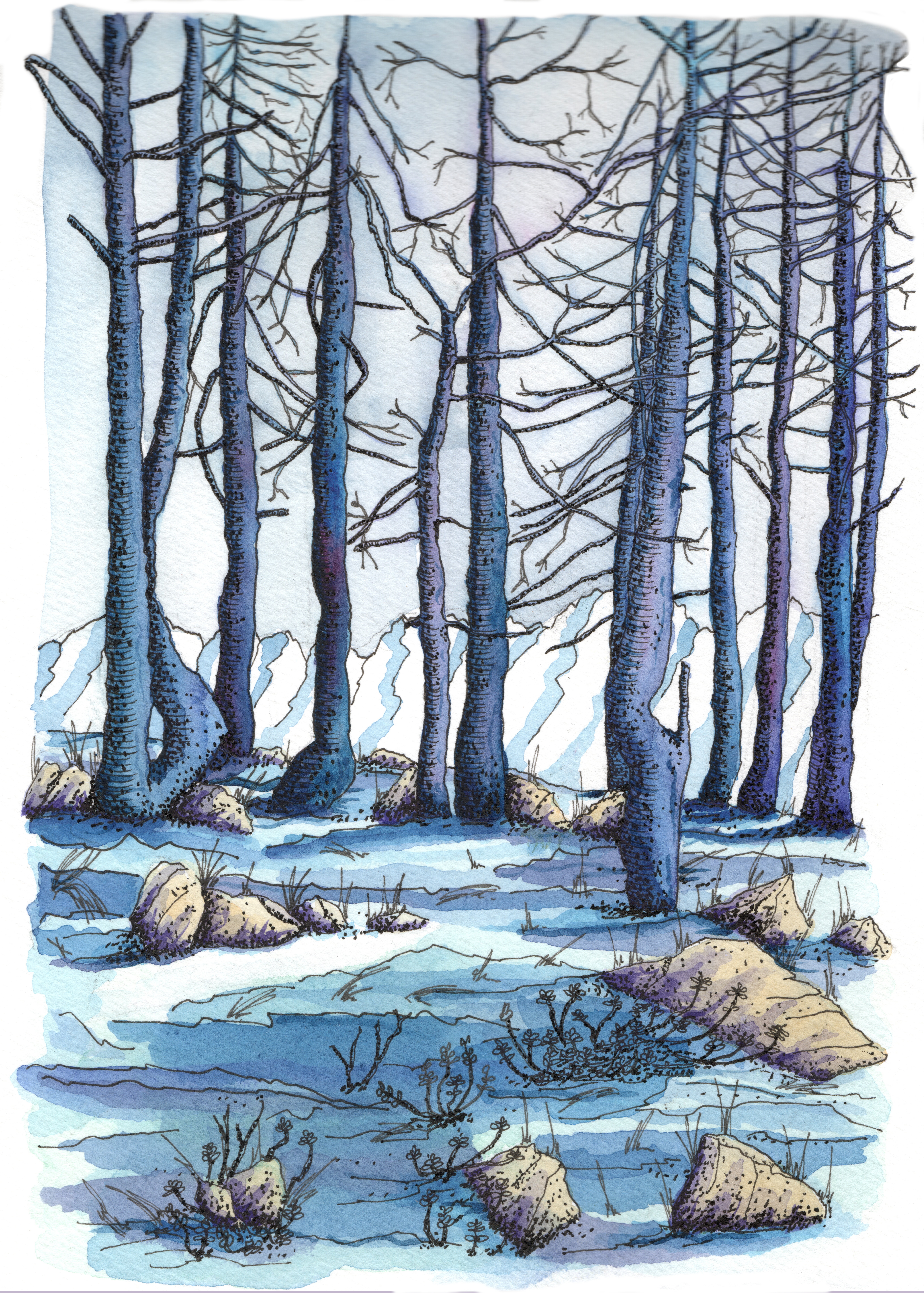 Illustration Winterlandschaft