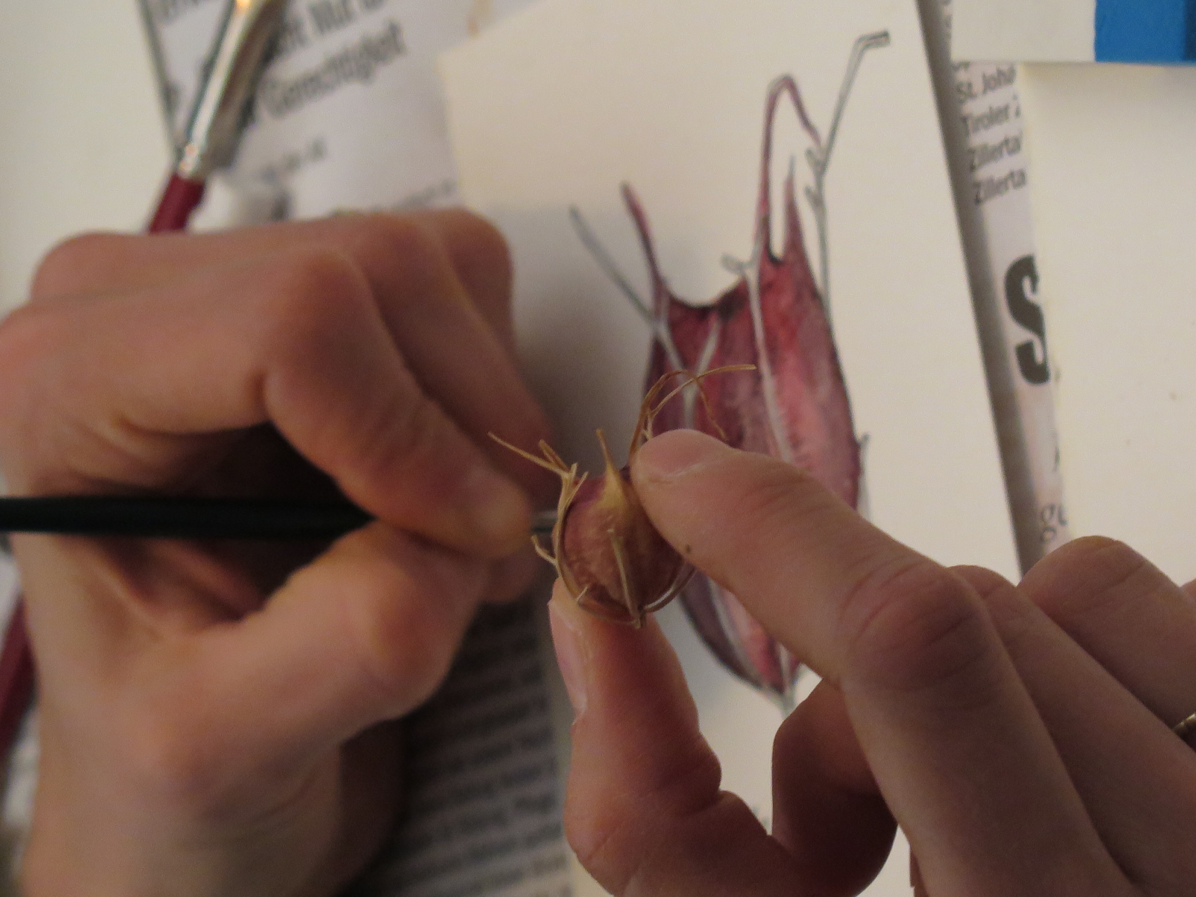 Eindruck aus dem Workshop im Café Spiral 2